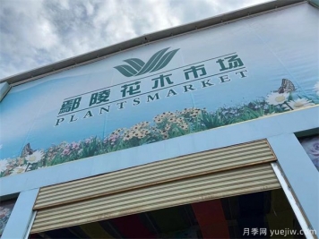 鄢陵县花木产业未必能想到的那些问题
