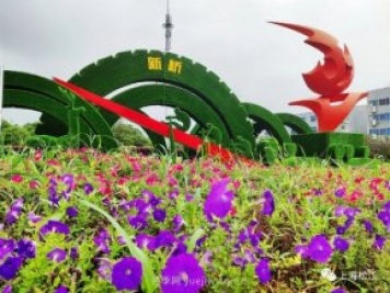 上海松江这里的花坛、花境“上新”啦!特色景观升级!