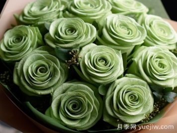 苏格兰复古绿玫瑰，绿色魅力的神秘诠释